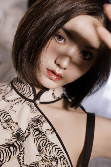 国产高清电影免费观看完整版在线观看熊出没